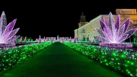 Wilanów rozbłyśnie tysiącami świateł. Będą rośliny giganty i królewska wydra