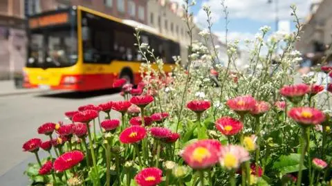 Zawieszone kursy na wakacje. Mniej autobusów i tramwajów