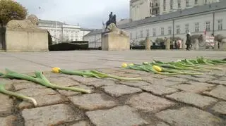 Tulipany przed Pałacem Prezydenckim