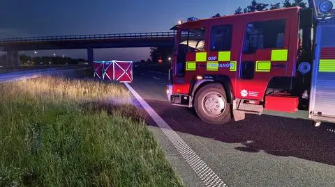 Nocny wypadek pod Garwolinem. Pieszy zginął na drodze ekspresowej