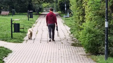 Za serią zatruć psów może stać groźna bakteria. "Zbyt mało się o niej mówi"