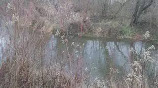 Do zdarzenia doszło w Piasecznie 