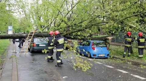 Drzewo runęło na jadący samochód