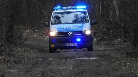 Emów: spadające drzewo uderzyło mężczyznę w głowę. Zginął na miejscu