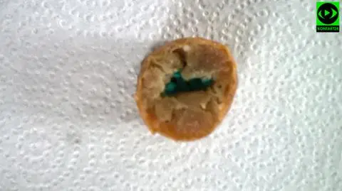 Kiełbasa z tabletkami. "Sprawdzamy, czy celem było otrucie psów"