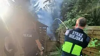 Strażnicy miejscy i policjanci gasili pożar na działkach