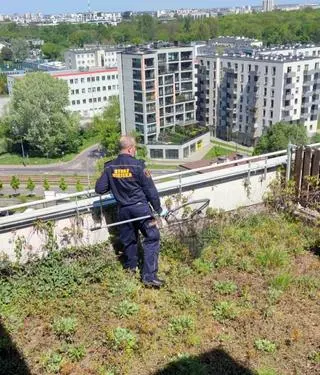 Strażnicy pomogli Bożence i jej dzieciom