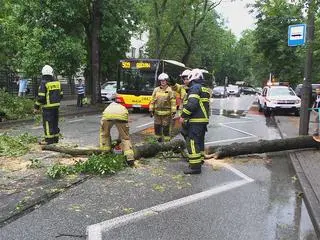 Skutki burzy na ulicy Saskiej