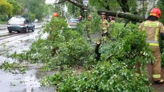 Drzewo spadło na ruchliwą ulicę na Woli