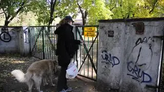 Lisa zawsze chodziła do parku ze swoim psem fot. Paweł Radziszewski/tvnwarszawa.pl