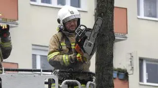 Strażacy interweniowali do powalonych drzew na Gruszczyńskiego 