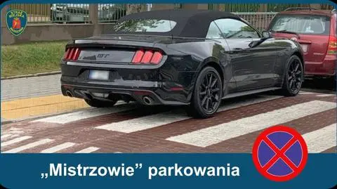 Stołeczni strażnicy miejscy wybrali październikowych "mistrzów" parkowania