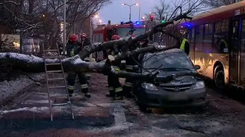 fot. Tomasz Zieliński/tvnwarszawa.pl