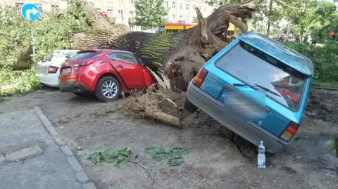 Wichura łamała drzewa jak zapałki. Odcięła Żoliborz od tramwajów 