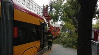 Drzewo zablokowało tramwaje na Mickiewicza