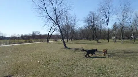 Radni nie poparli mieszkańców. "Pozostają nam tylko protesty"