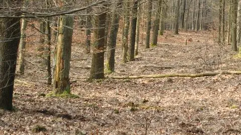 Pięć kul w ciele biznesmena