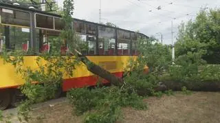  Drzewo przewróciło się na tramwaj 