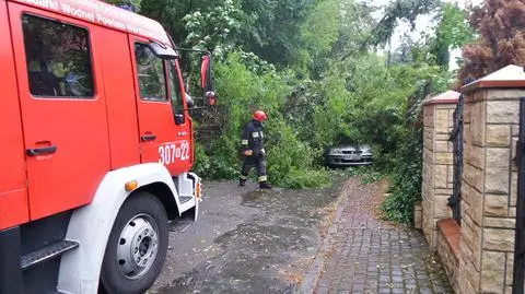 Burza przeszła nad Warszawą. Powalone drzewa, utrudnienia w ruchu 