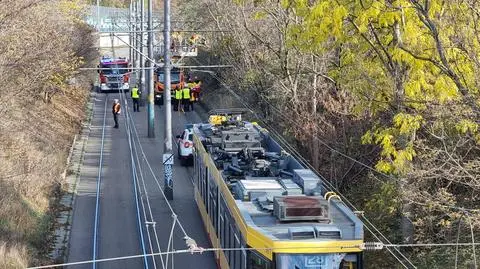 Gałęzie oparły się o trakcję tramwajową. Nie kursowały tramwaje