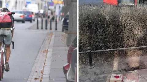 Policzą jeżdżących rowerzystów. "To niezbędne do planowania tras"