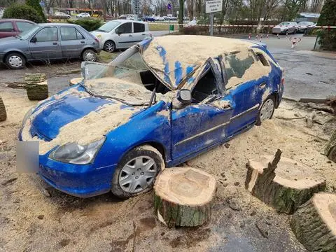 Drzewo przewróciło się na zaparkowane samochody