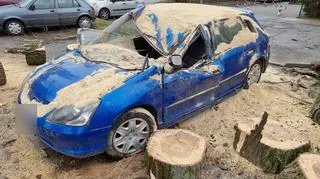 A fallen tree damaged at least nine cars in Warsaw