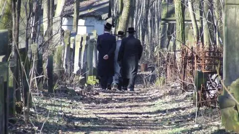 Wolontariusze z Europy posprzątają Cmentarz Żydowski