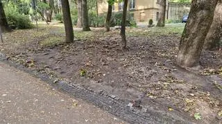 Woda z pękniętej rury wleciała do parku Szustrów i parku Promenada