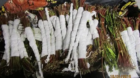 Khat w walizkach. Próbował przemycić 33 kg narkotyku