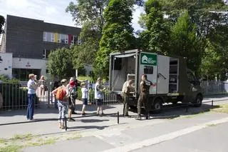 Dzik w szkolnym ogródku przy Balkonowej