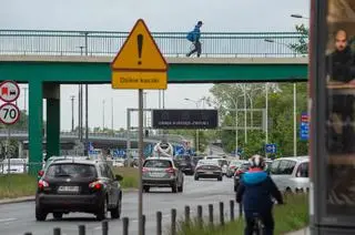 W rejonie Czerniakowskiej nurogęsi z młodymi przechodzą przez ulicę