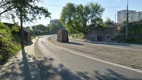 Rozchodnik na torowisku