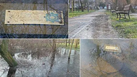 60 tysięcy poszło na meliorację, a Sady Żoliborskie i tak zalane