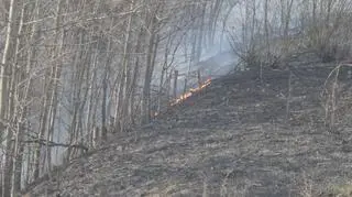 Pożar przy cmentarzu cholerycznym