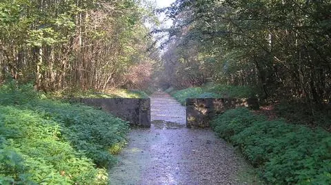 Mieszkańcy sprzątną Olszynkę Grochowską