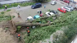 Drzewo runęło na samochody