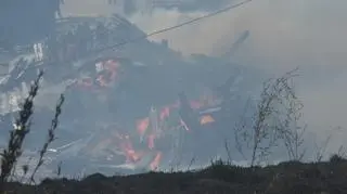 Pożar przy cmentarzu cholerycznym