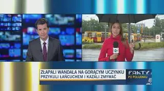 Złapali wandala na gorącym uczynku