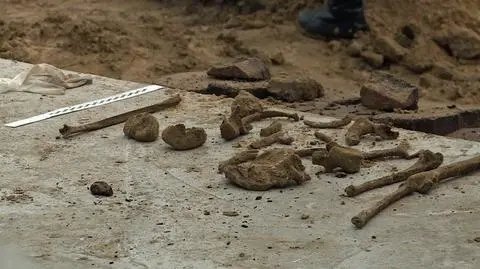 Kości na budowie. "Trzy piszczele i część miednicy"