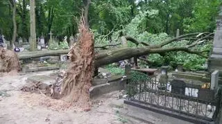 Zniszczony cmentarz na Powązkach