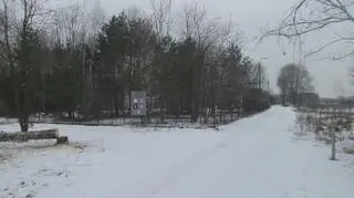 Wycięte dęby w Konstancinie-Jeziornie