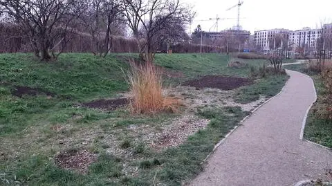 "Czasem trzeba pokazać dorosłym, że się mylą". Rozebrali plac zabaw, przyznają się do błędu