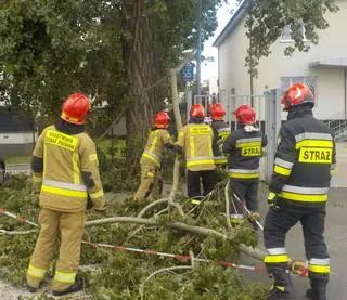 Strażnicy miejscy i strażacy interweniowali na Grochowie