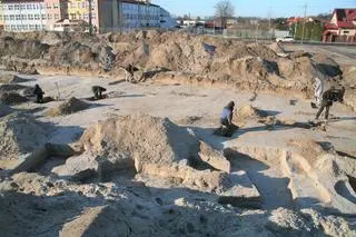 Archeolodzy odkryli pozostałości dużej osady kultury łużyckiej na Białołęce