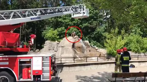Pijany mężczyzna wskoczył do wybiegu dla niedźwiedzi