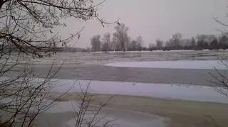 Wezbrana Narew w Rogóźnie 
fot. Kontakt 24/MichalMi