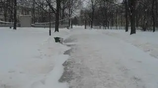 Będzie aleja Batalionu AK "Chrobry I"?