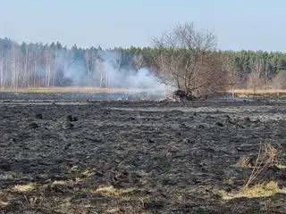 Pożar na Białołęce 