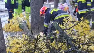 Połamany konar przy Sowińskiego